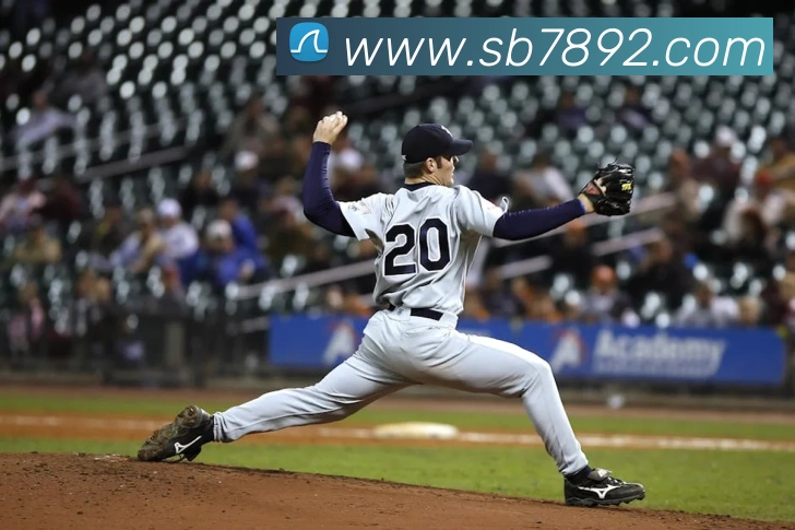 sunbet申博官网服务体系